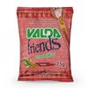 Valda-Friends-Canela-25g
